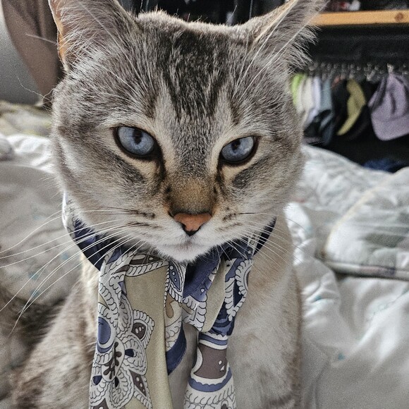 ni3enposh